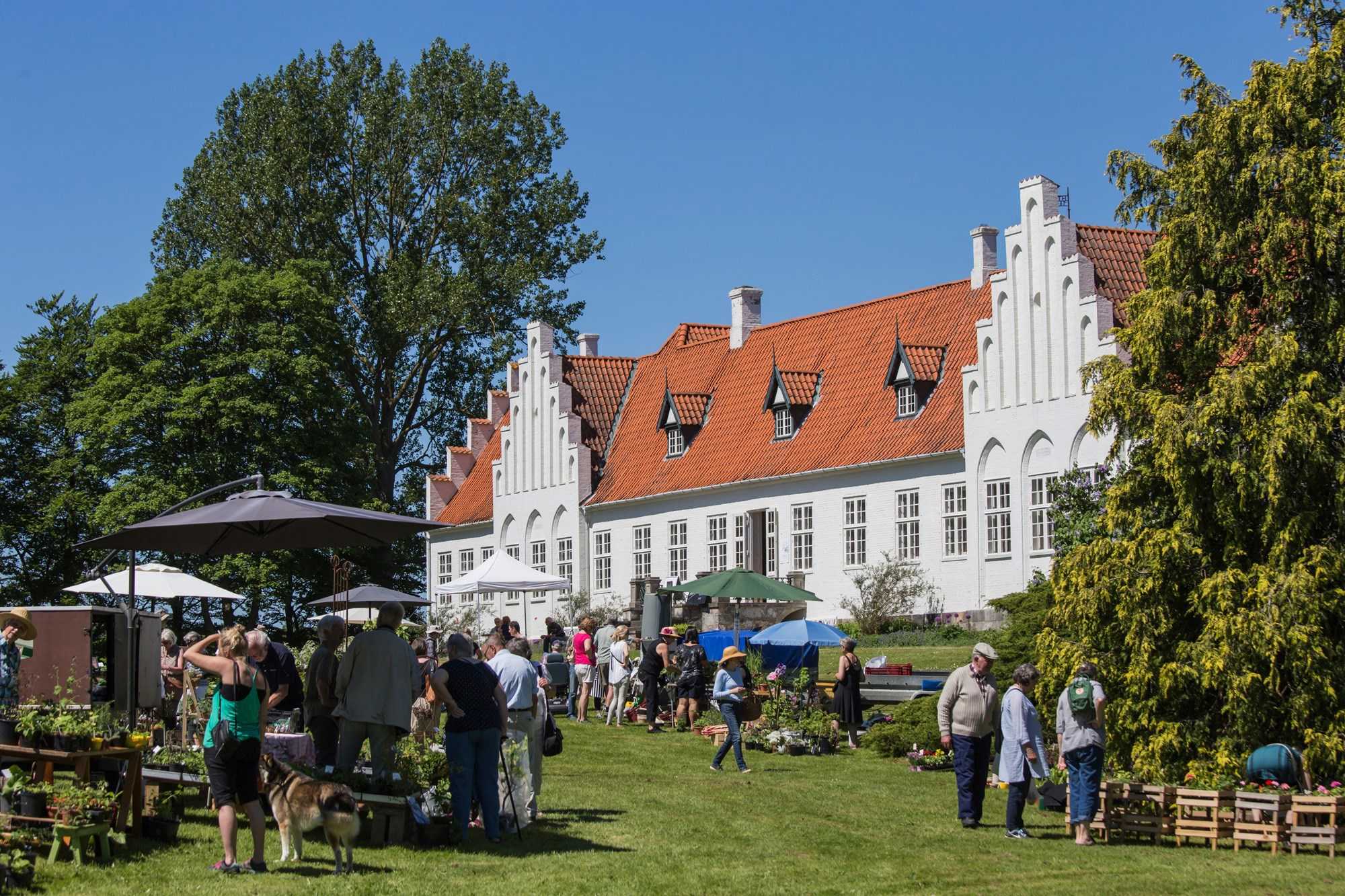 Flere besøgende til Rønnebæksholm Marked på en solskinsdag