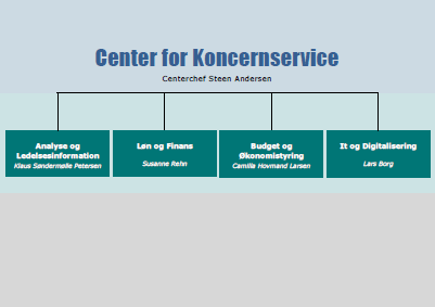 Organisationsdiagram over Center for Koncernservice