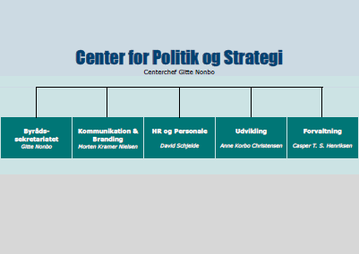 Organisationsdiagram over Center for Politik og Strategi