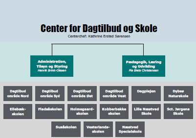 Organisationsdiagram over Center for Dagtilbud og Skole