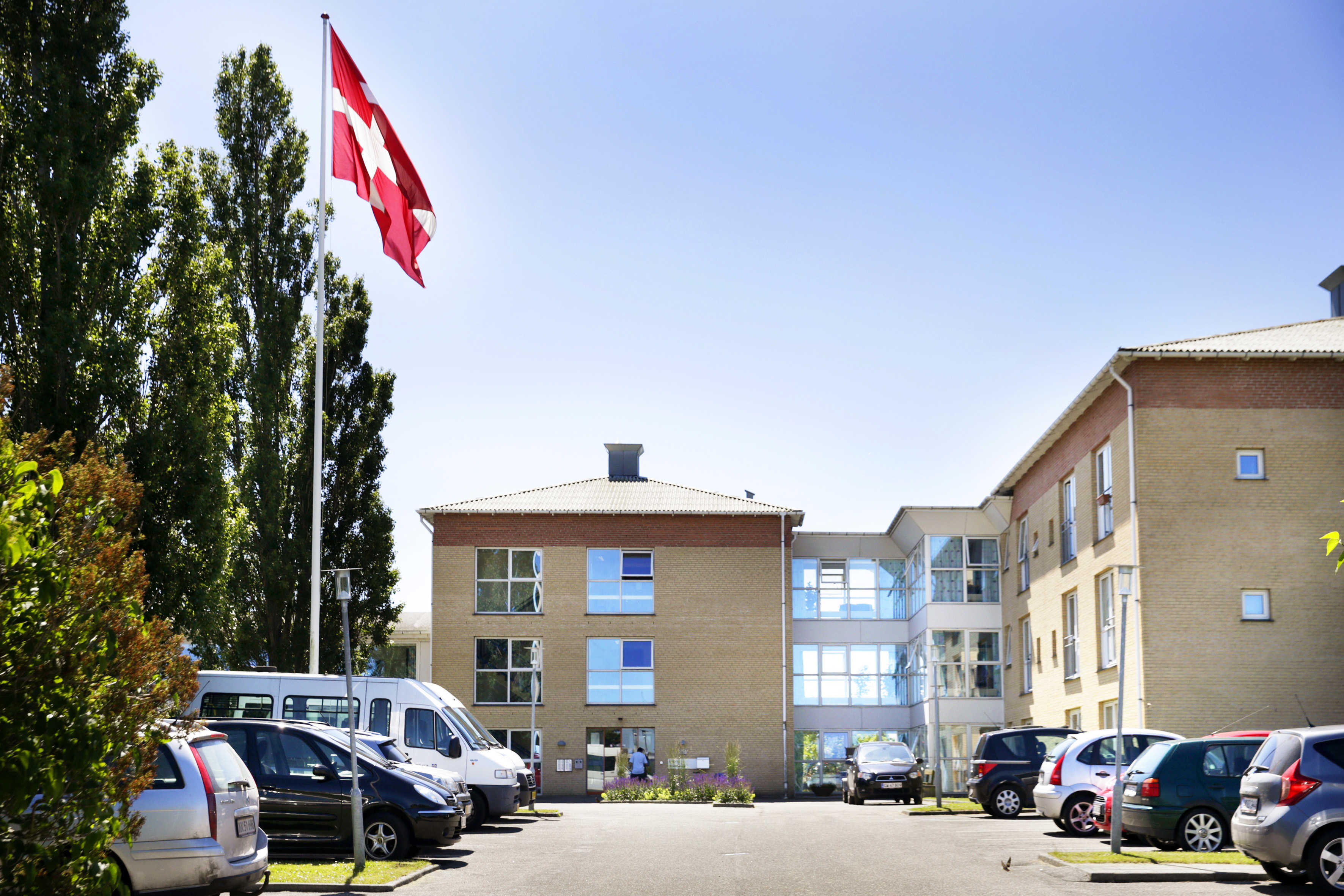 Birke-Bo set fra parkeringspladsen med flagstand med hejst dannebrog