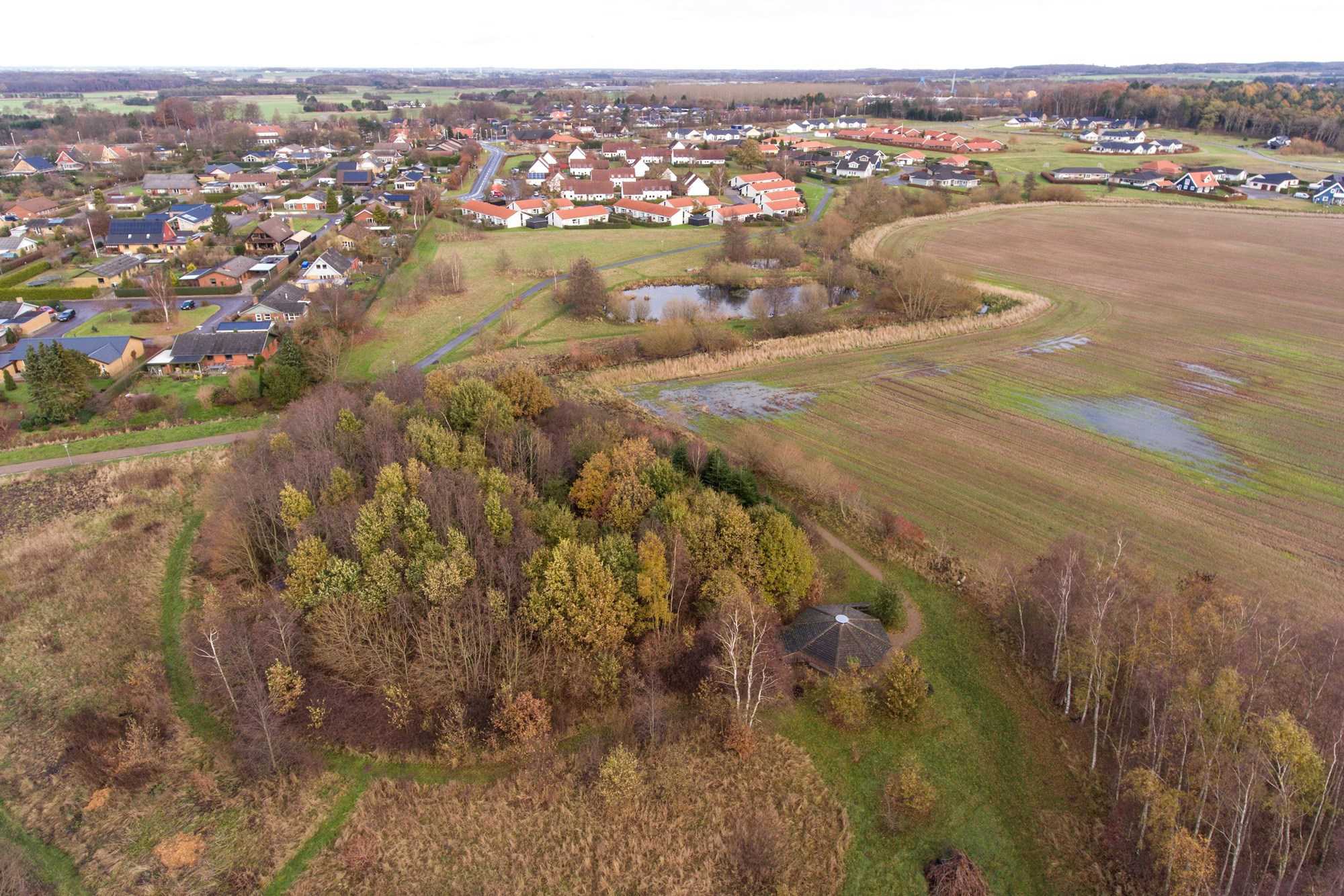 Mark Ved Holme Olstrup med byen i baggrunden