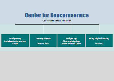 Organisationsdiagram over Center for Koncernservice