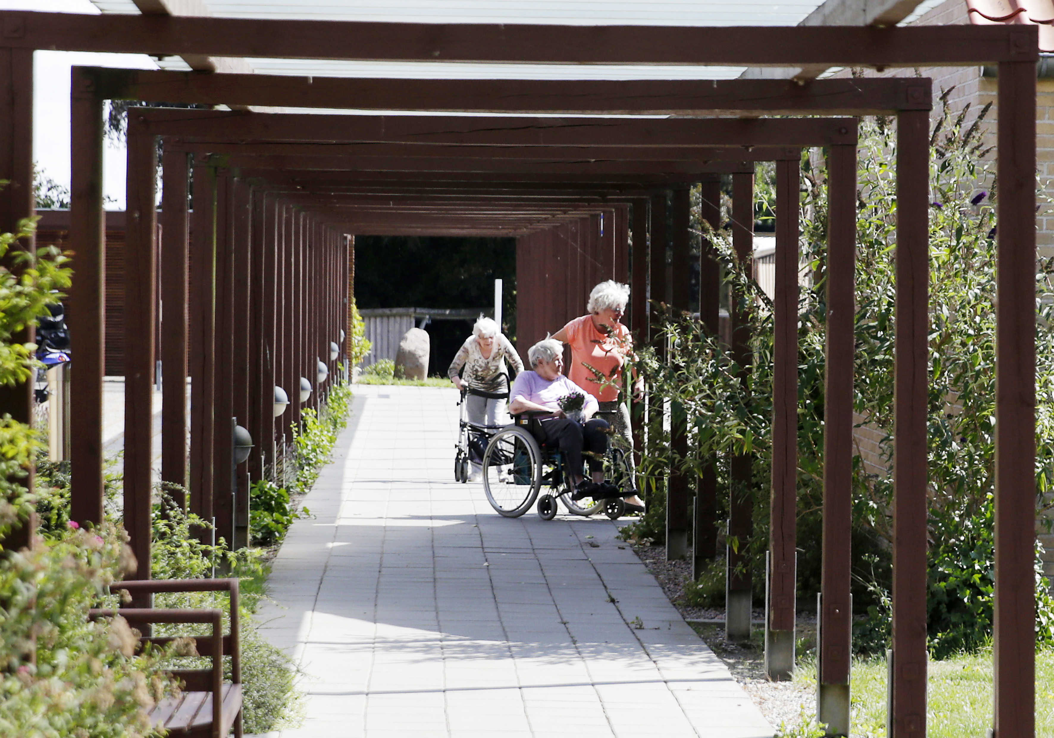 Røjleparken - Gangsti Udendørs Med Ældre Der Hygger