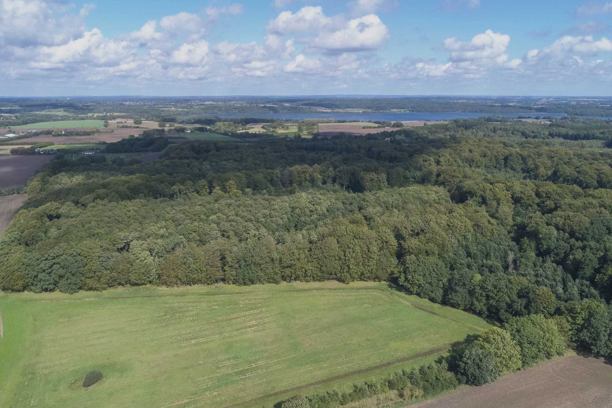 Dronebillede over Kastrup Storskov