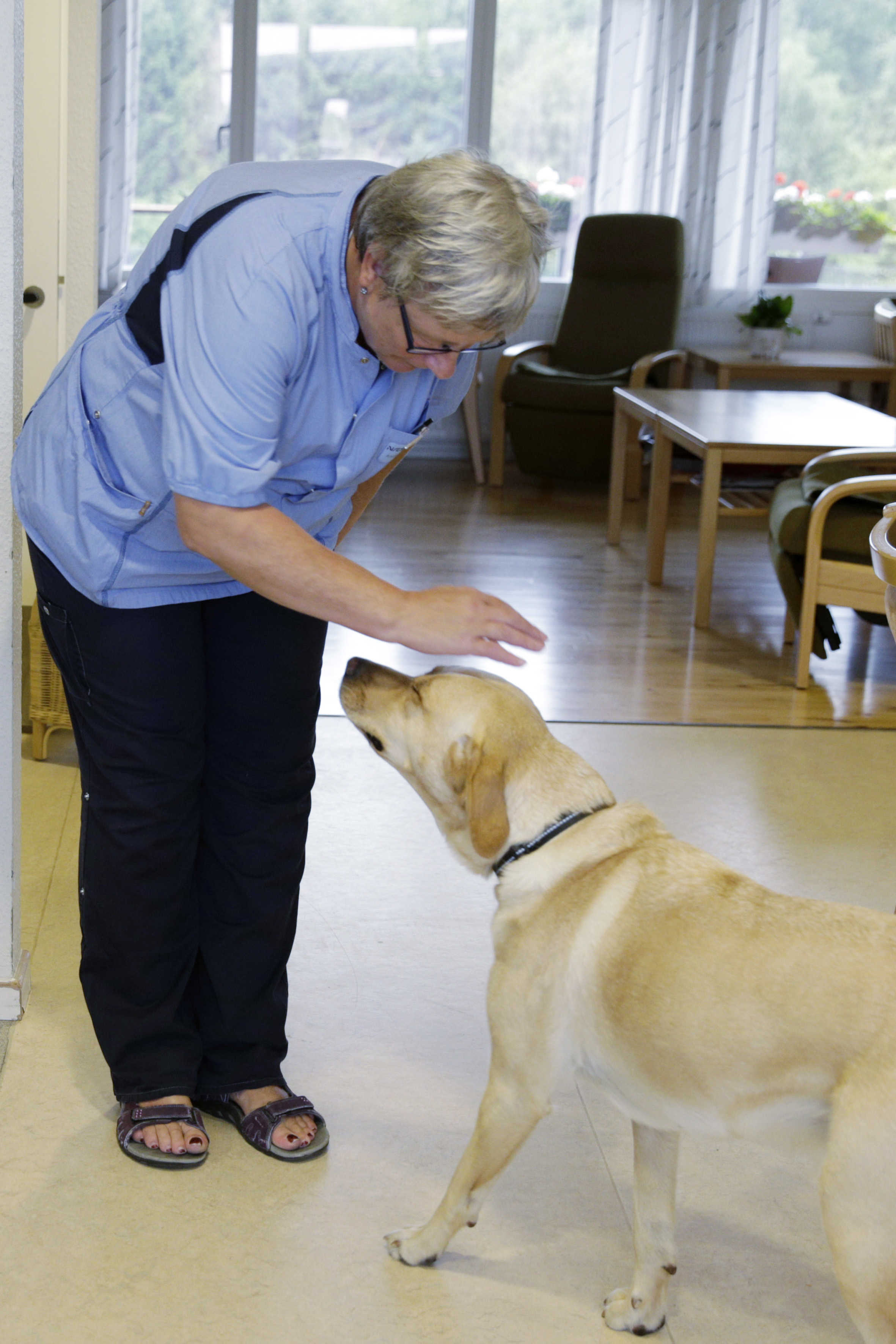 Besøgshund i boenhed